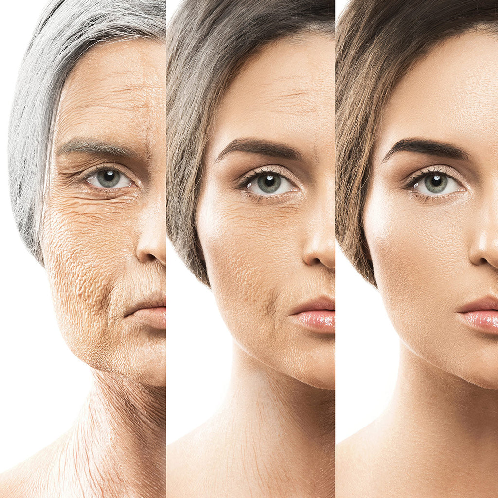 Collagen Explained: What It Is and Why It’s a Must-Have in Your Beauty Routine