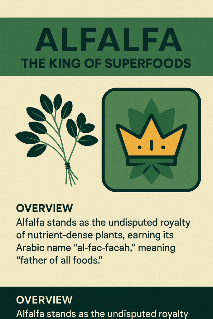 Alfalfa: The King of Superfoods