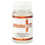 Tribulus Plus Capsules for Muscles